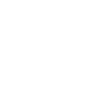 exit icon