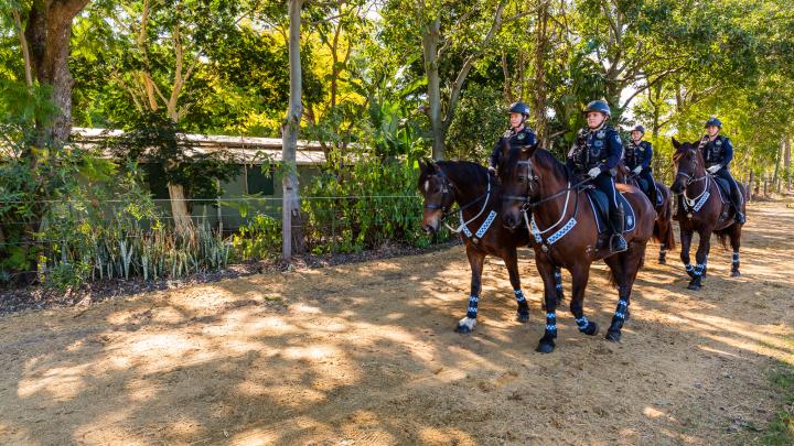 Mounted Unit on patrol