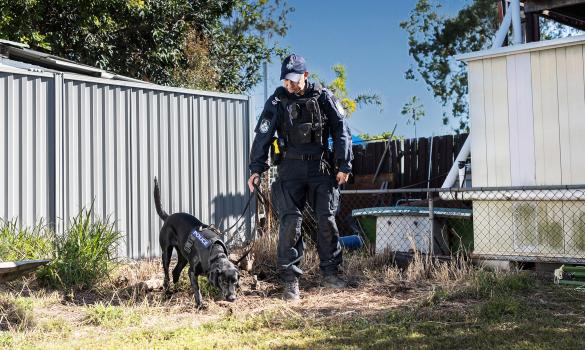 Police dog and handler on duty