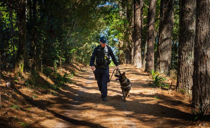 police officer walking police dog through forest path
