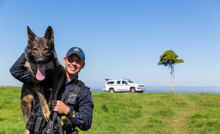 dog squad police officer with dog in sunny landscape